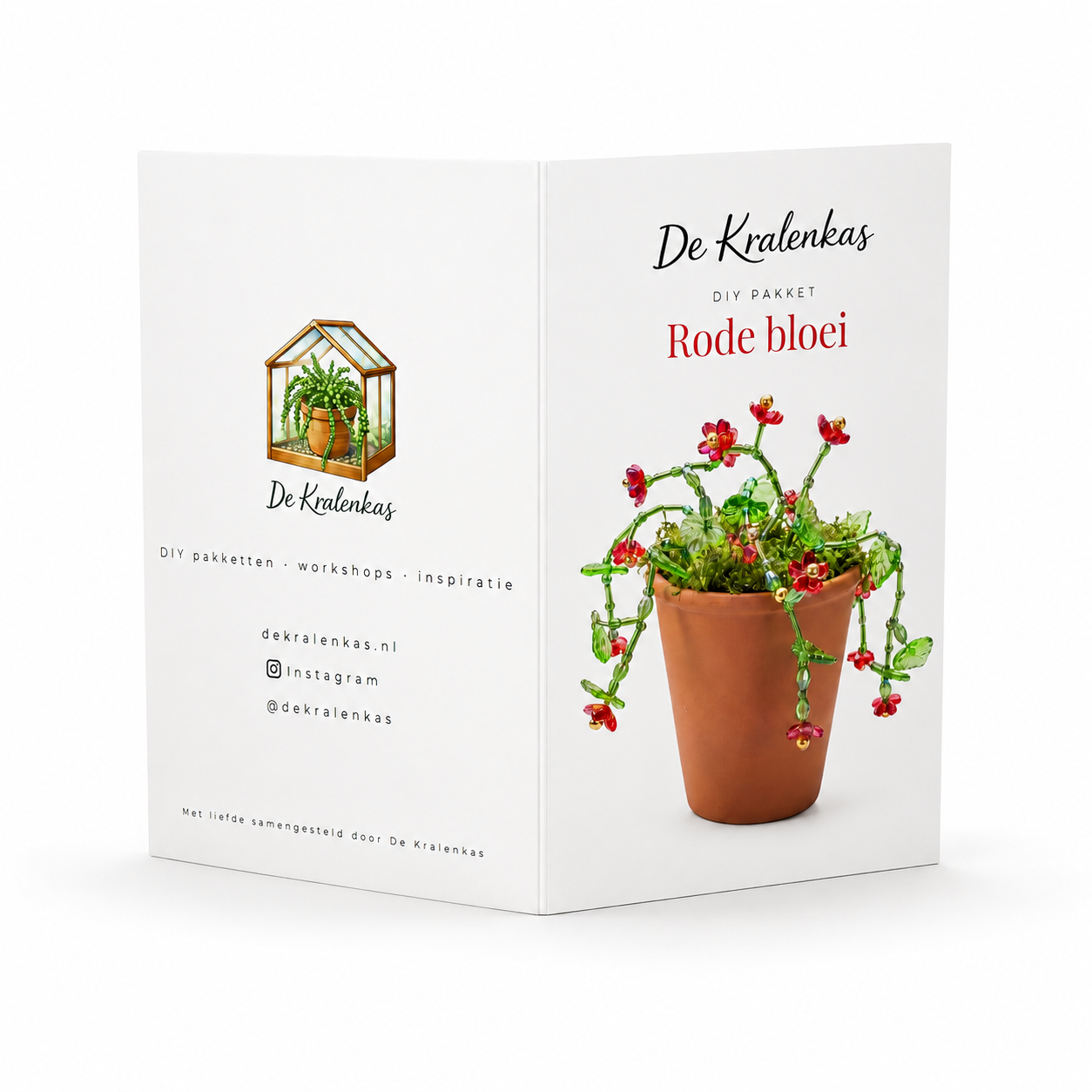 Maak thuis je eigen kralenplant - Rode Bloei