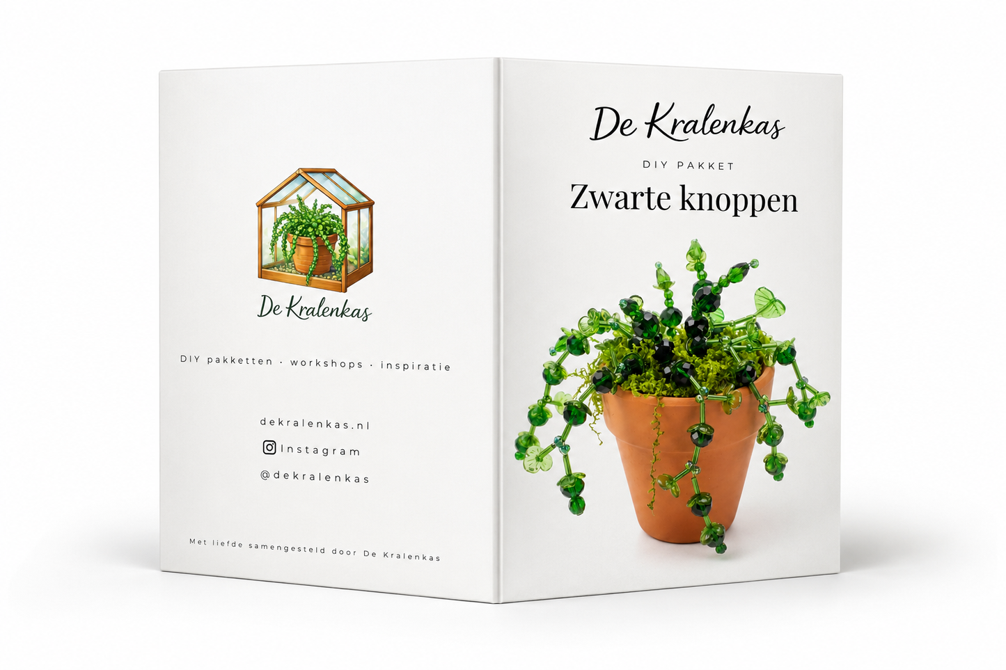 Maak thuis je eigen kralenplant - Zwarte knoppen