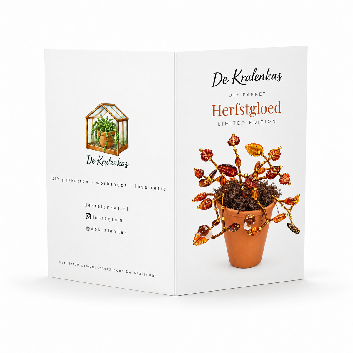 Maak thuis je eigen kralenplant - Herfstgloed