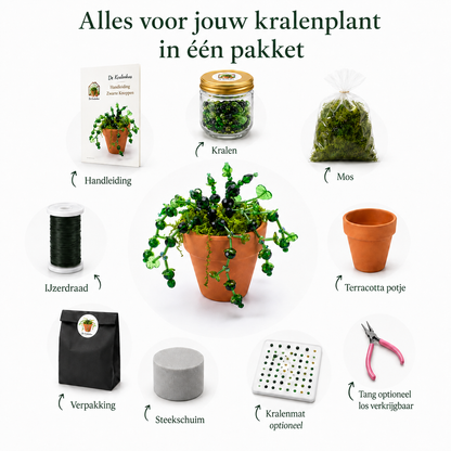 Maak thuis je eigen kralenplant - Zwarte knoppen