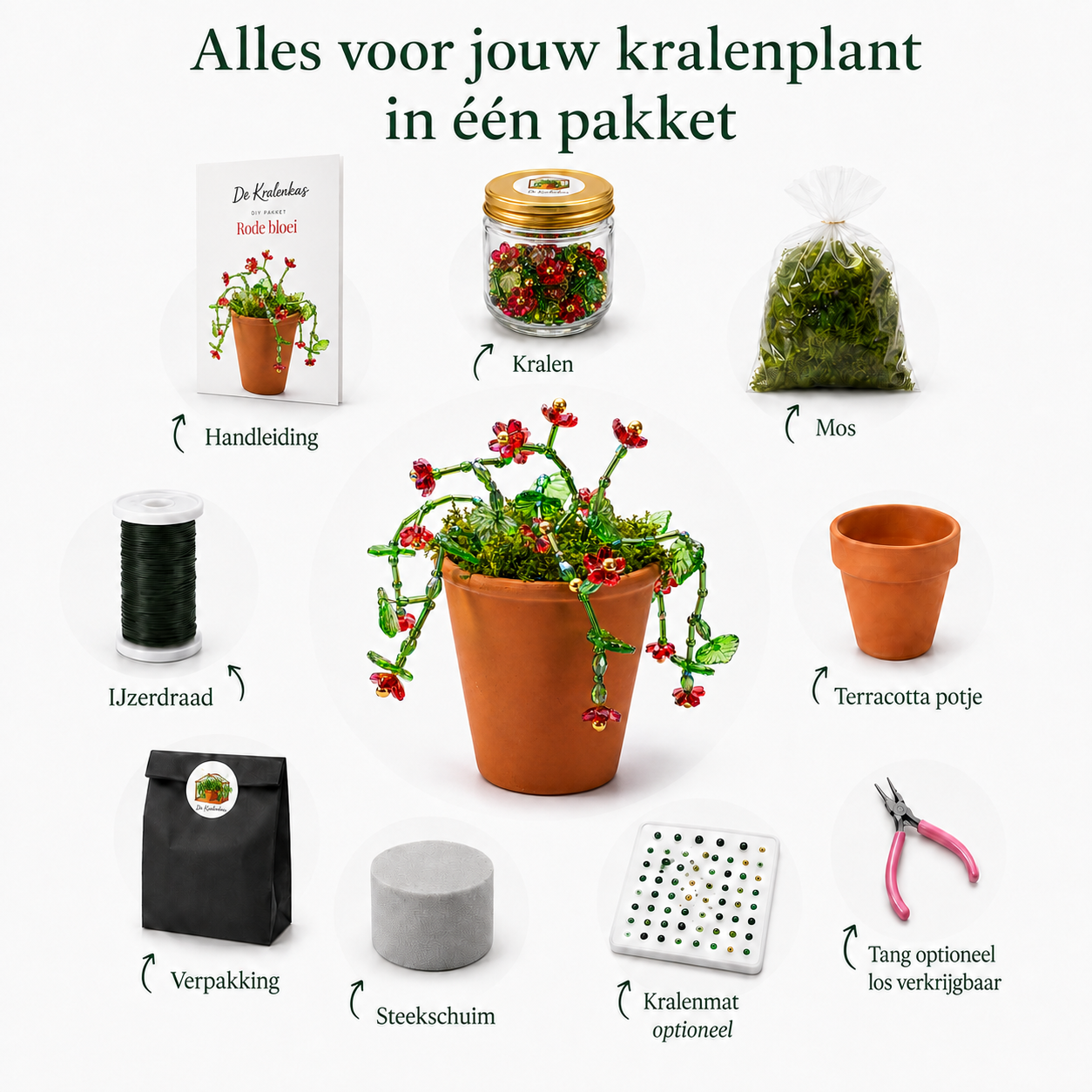 Maak thuis je eigen kralenplant - Rode Bloei
