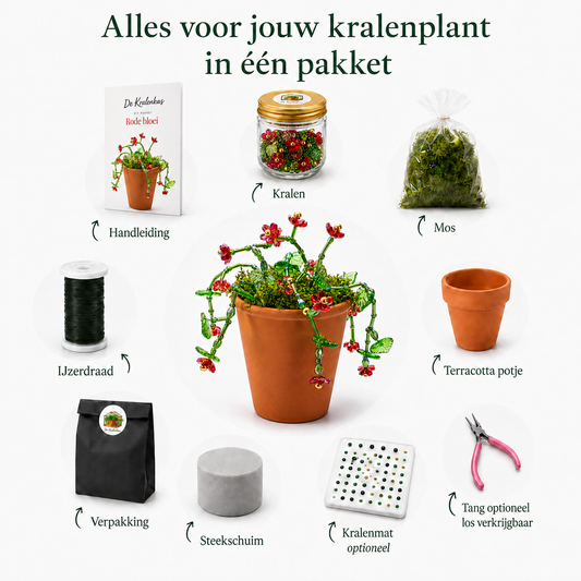 Maak thuis je eigen kralenplant - Rode Bloei