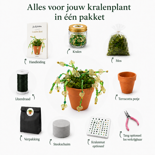 Maak thuis je eigen kralenplant - Gouden Bloei