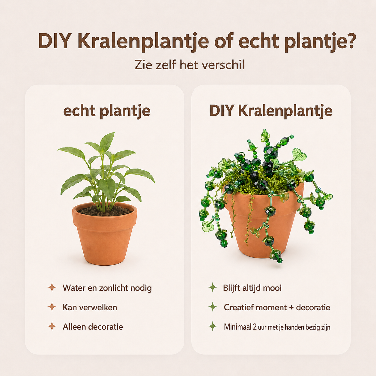 Maak thuis je eigen kralenplant - Zwarte knoppen