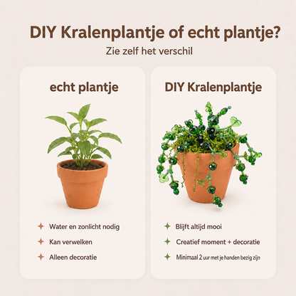Maak thuis je eigen kralenplant - Zwarte knoppen