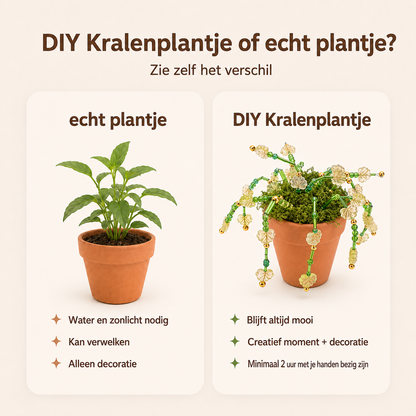 Maak thuis je eigen kralenplant - Gouden Bloei