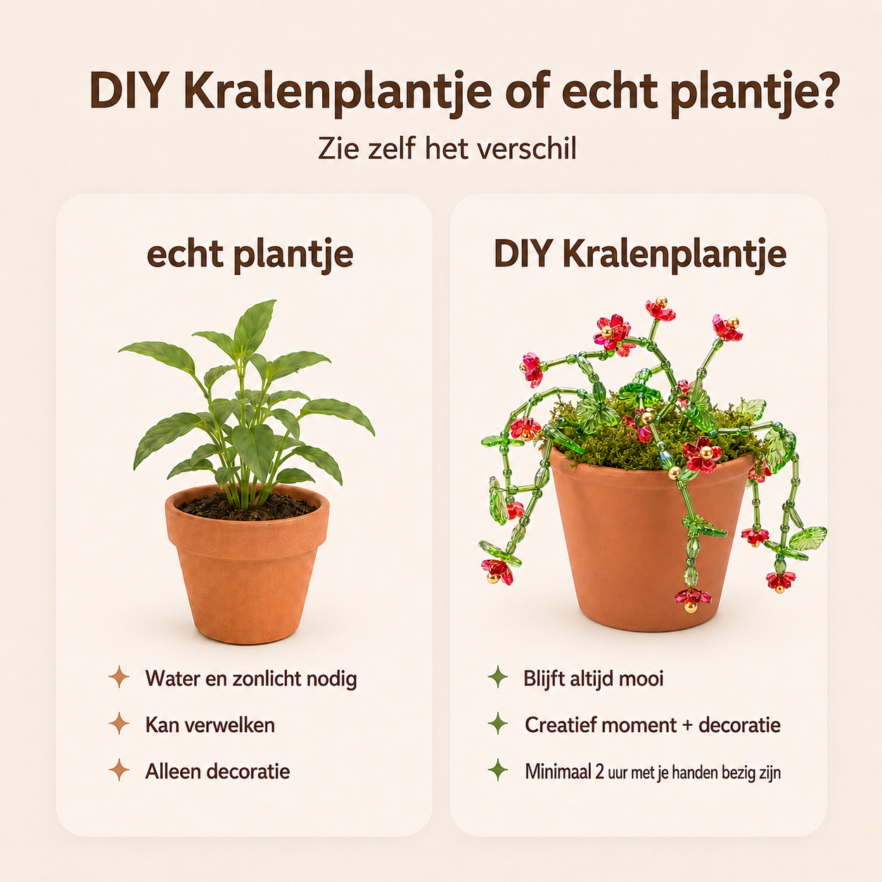 Maak thuis je eigen kralenplant - Rode Bloei