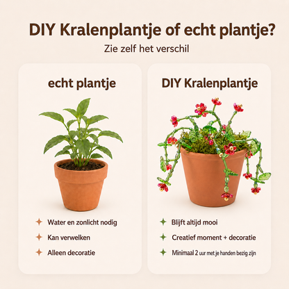 Maak thuis je eigen kralenplant - Rode Bloei