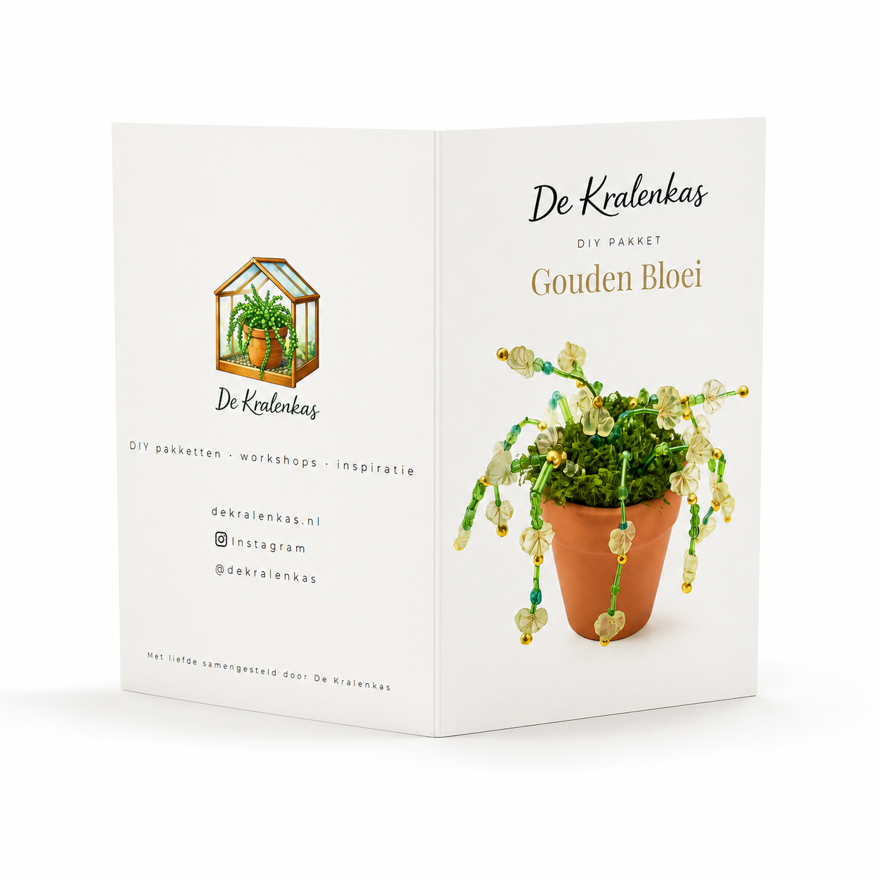 Maak thuis je eigen kralenplant - Gouden Bloei