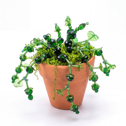 Maak thuis je eigen kralenplant - Zwarte knoppen