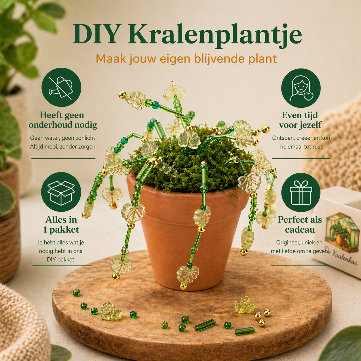 Maak thuis je eigen kralenplant - Gouden Bloei