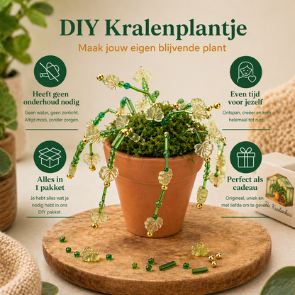 Maak thuis je eigen kralenplant - Gouden Bloei