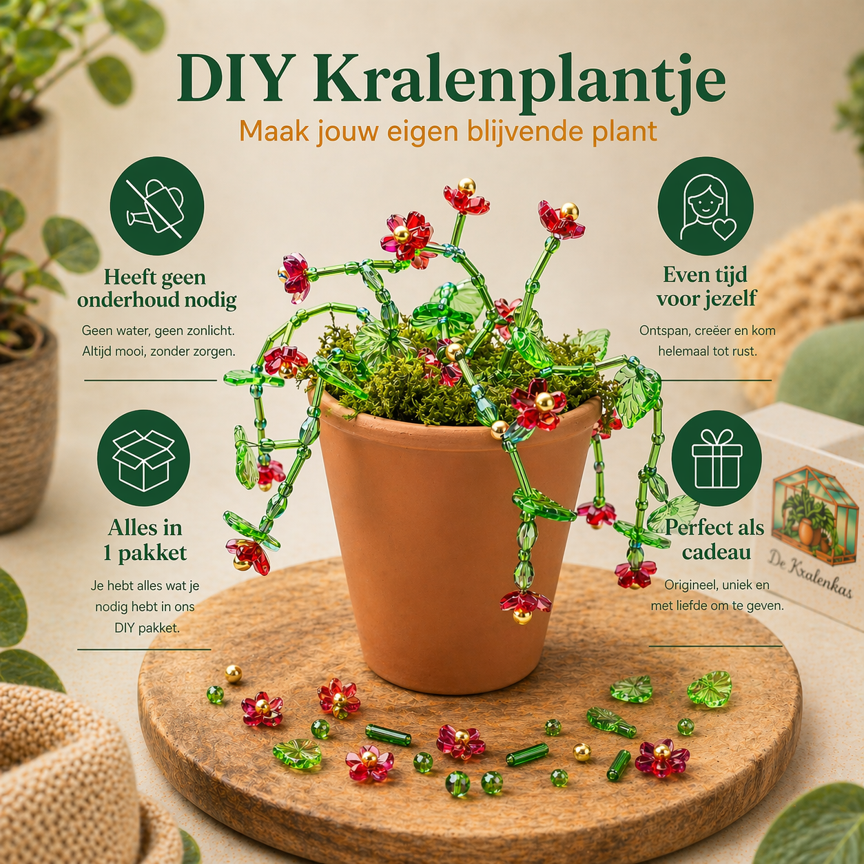 Maak thuis je eigen kralenplant - Rode Bloei
