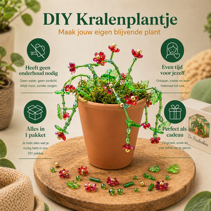 Maak thuis je eigen kralenplant - Rode Bloei
