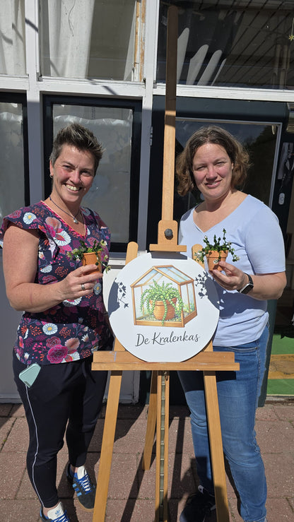 Workshop: Maak je eigen kralenplantje (meest gekozen)