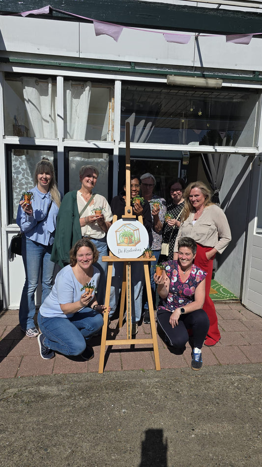 Workshop: Maak je eigen kralenplantje (meest gekozen)